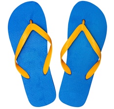 Flip-Flops